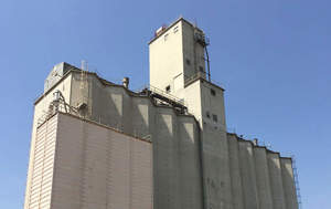 Colton Mill