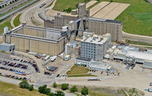 Saginaw Mill