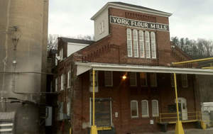 York Mill