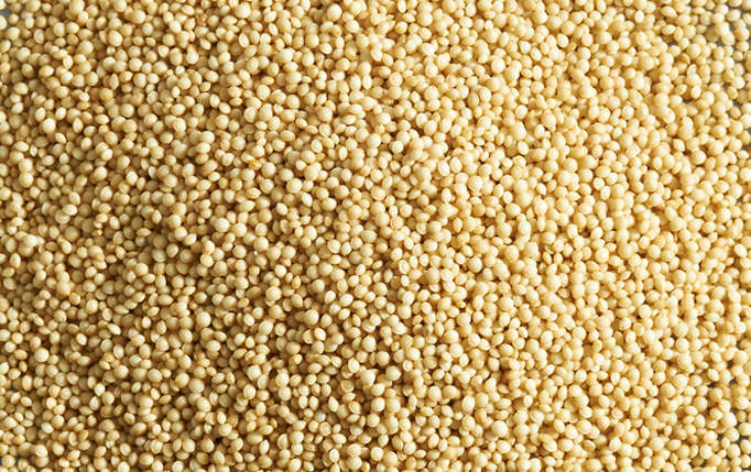 Ancient & Heirloom Grains | Rye, Quinoa, Millet | Ardent Mills