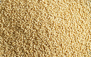 Amaranth Flour & Grains