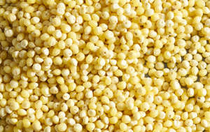 Millet Flour & Grains