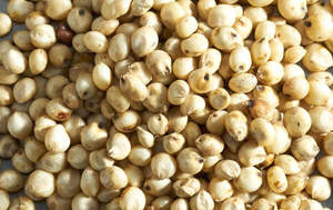 Sorghum Flour, Grains & Blends