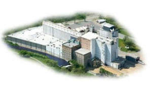 Hastings Mill