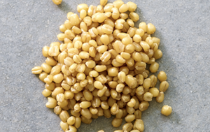 White Sonora Wheat Flour