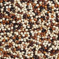 Tricolor Quinoa Seeds