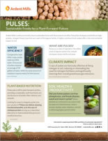 Pulse Sustainability Brochure