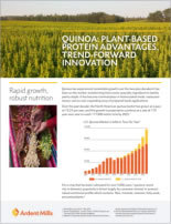 Quinoa Whitepaper