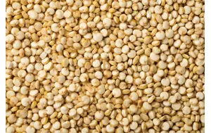 Organic Quinoa Flour & Seeds