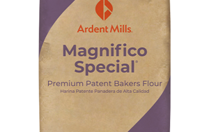 Premium Patent