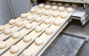 Malted Barley